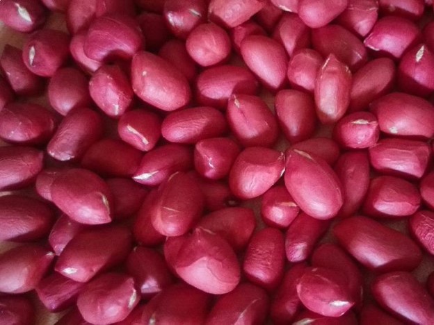 Groundnuts