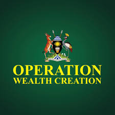 Operation Wealth Creation