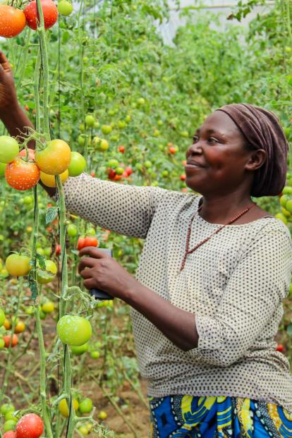 Farmers working together in Uganda