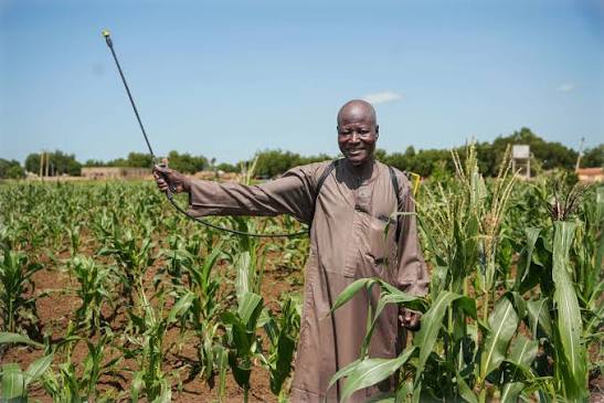Quality agricultural inputs for farmers
